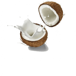 leche de coco en polvo