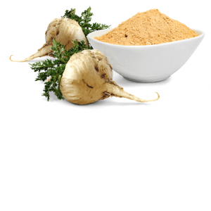 Maca en polvo