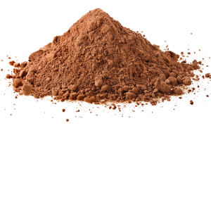 Cacao en polvo